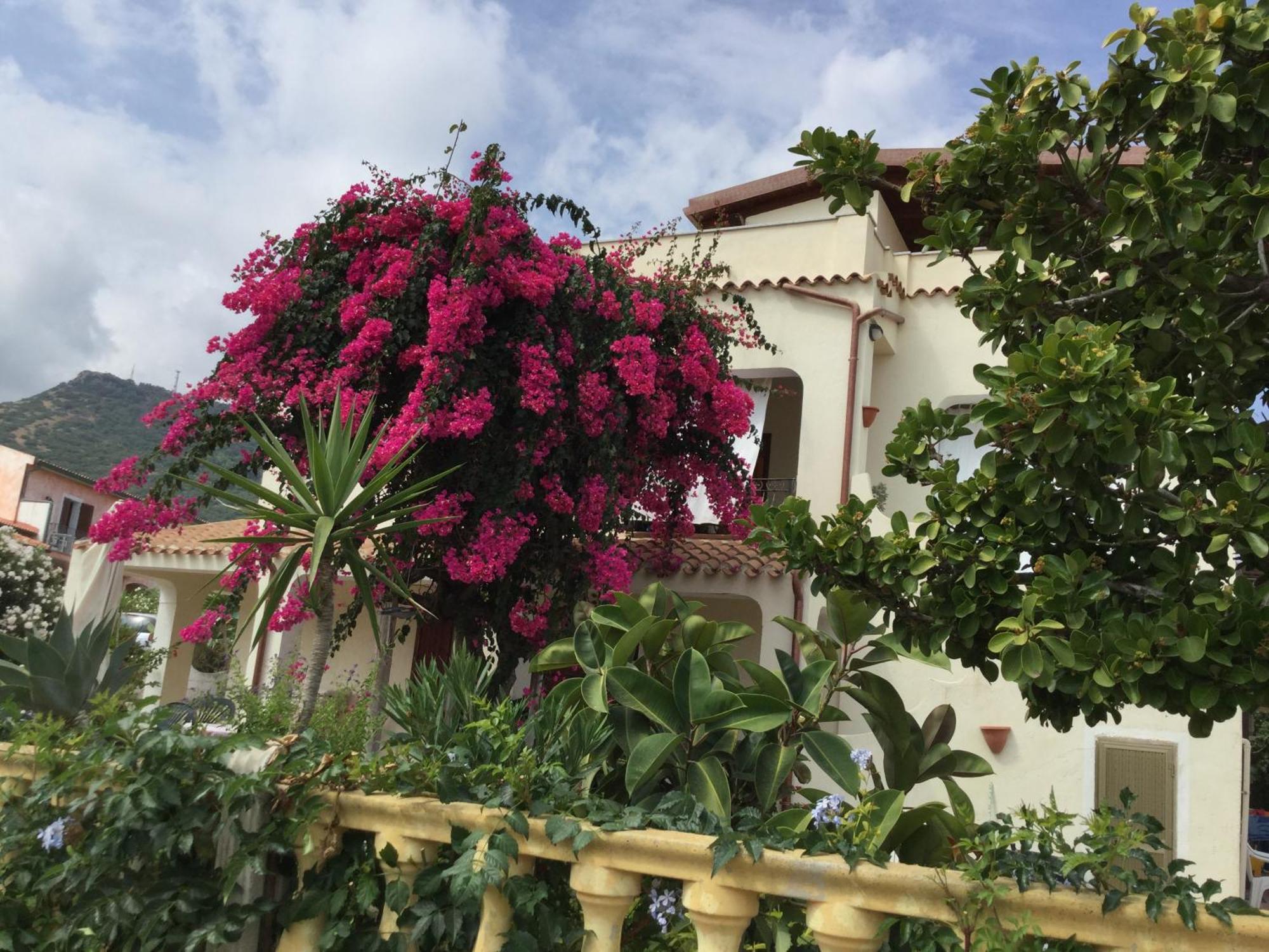 Villa Bouganville Valledoria  Dış mekan fotoğraf